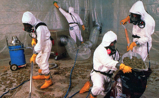 Asbestos Abatement